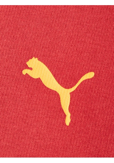 Gsstore Galatasaray Puma Çocuk Fermuarlı Kapüşonlu Sweatshirt 78291501 Kırmızı