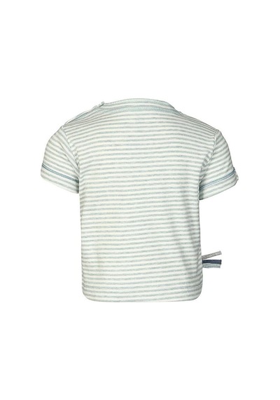 Organicera Organik Kısa Kollu T-shirt, Çizgili , Aqua Melange Mint