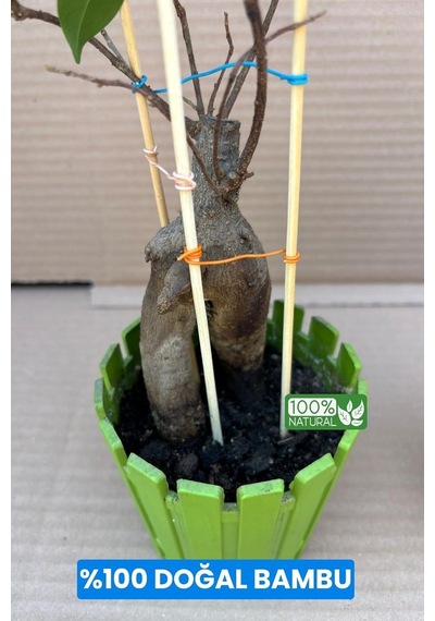 Depolife Bitki Fidan Saksı Destek Kazığı 10 Adet 30cm Bambu Destek Çubuğu Seti