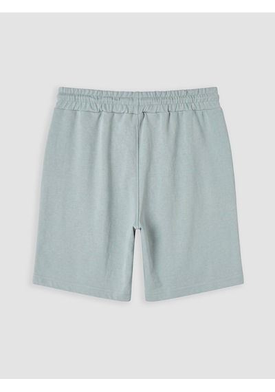 Lcwaıkıkı Classic Yeşil Regular Fit Erkek Şort