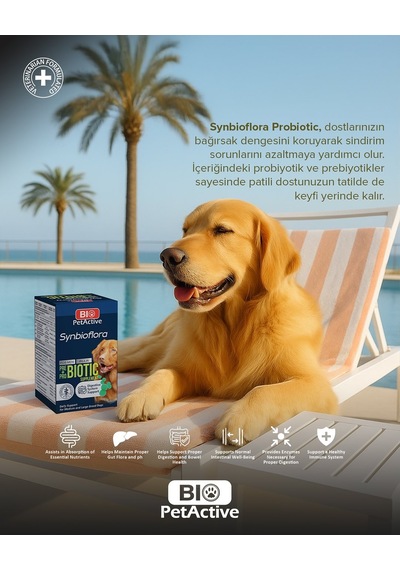 Bio Petactive Biotic Probiyotik Prebiyotik Büyük Orta Irk Köpek 60 Tablet