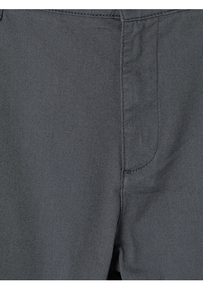 Lcwaıkıkı Classic Antrasit Regular Fit Erkek Chino Pantolon