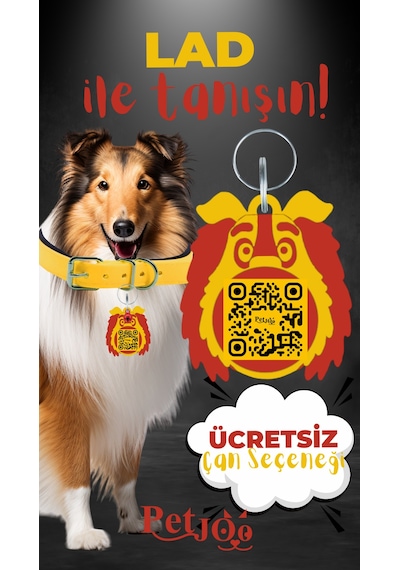 Petjoo 23.Lad Kırmızı-Sarı Qr'lı Köpek Künyesi