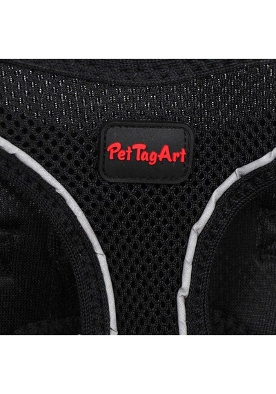 Pettagart Airmesh Siyah Göğüs Tasması Turuncu