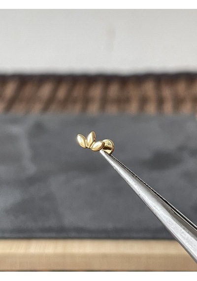 Yüksek Kalite G23 Buğday Zirkon Altın Titanyum 6 X 1.2 MM Labret Piercing Altın