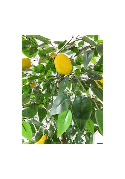 Cihan Çiçekçilik Yapay Ağaç Limon Ağacı 170 Cm 56x30x20 Beyaz Kumsal Saksı Yeşil