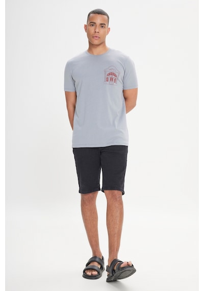 AC&Co / Altınyıldız Classics Erkek Grı Standart Fit Normal Kesim Baskılı Bisiklet Yaka Tişört Gri
