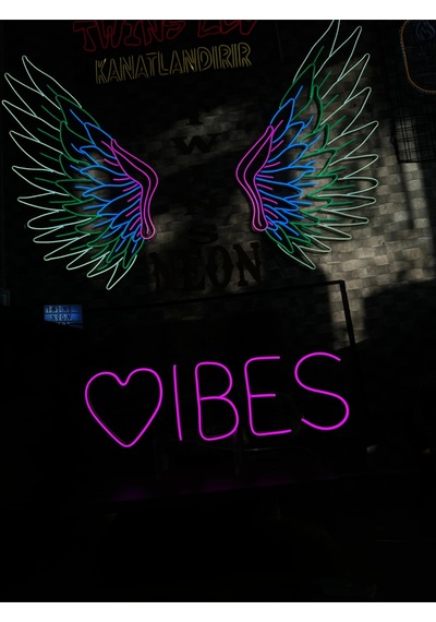 Vibes Yazılı Ve Şekilli Neon Tabela Pembe