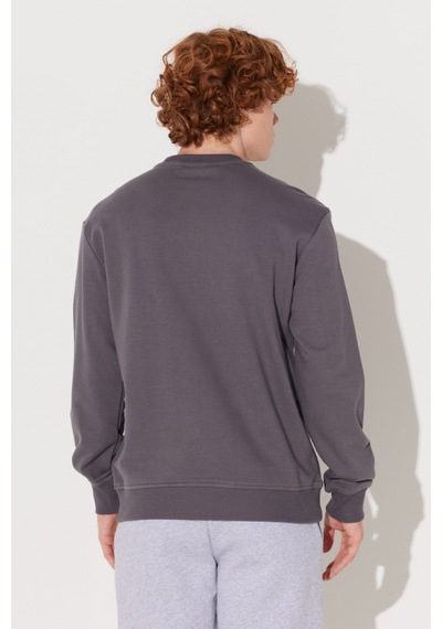 Lee Regular Fit Normal Kesim Bisiklet Yaka Antrasit Sweatshirt L232501003 Antrasit