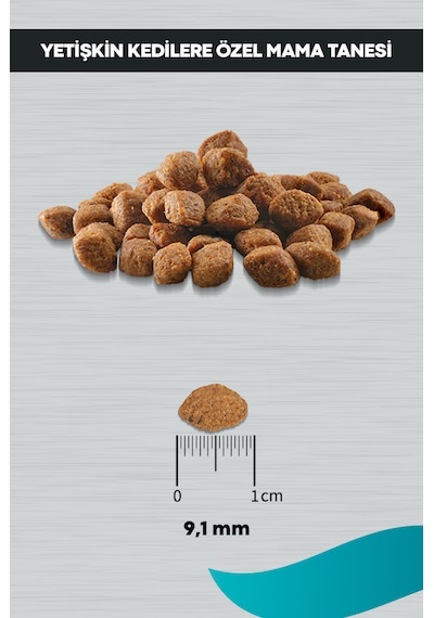 Peritas Signature Somonlu Kedi Tüy Yumağı Önleyici Yetişkin Kedi Maması 2 KG