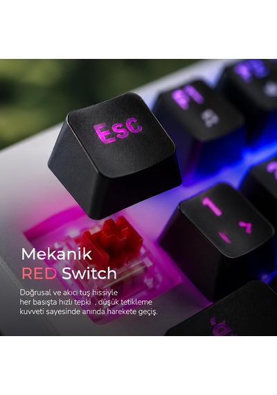 Dryo Rgb Mekanik Oyuncu Klavyesi Red Switch Anti-ghosting Multimedya Kontrol Kadranı Türkçe Q Kablolu Siyah