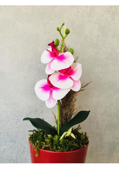Tr Orkide Yapay Çiçek, 38 Cm, Pembe-beyaz, Saksıda Diğer