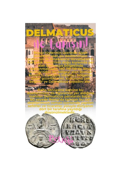 Petjoo 28.Delmaticus Pembe-Sarı Qr'lı Köpek Künyesi
