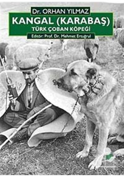 Kangal (Karabaş) Türk Çoban Köpeği - Orhan Yılmaz - Bilge Kültür Sanat