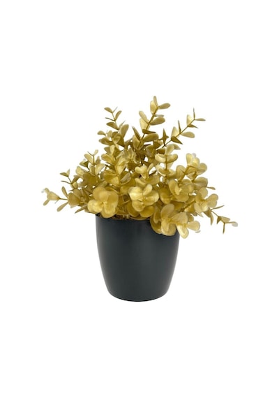 Yapay Çiçek Gold Renk Şimşir Siyah Saksıda Siyah Plastik Saksılı