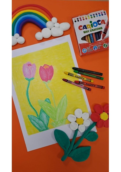 Carioca Wax Maxı Yıkanabilir Pastel Boya Kalemi 50'li Genel