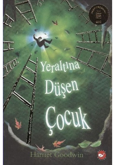 Yeraltına Düşen Çocuk - Yqbx-662663