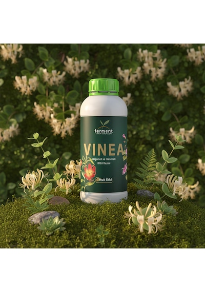 Vinea İkili 500 Ml 2 Adet Dış Mekan Süs Bitkisi Besini - Begonvil Ve Hanımeli İçin Hızlı Büyüme 500 ML