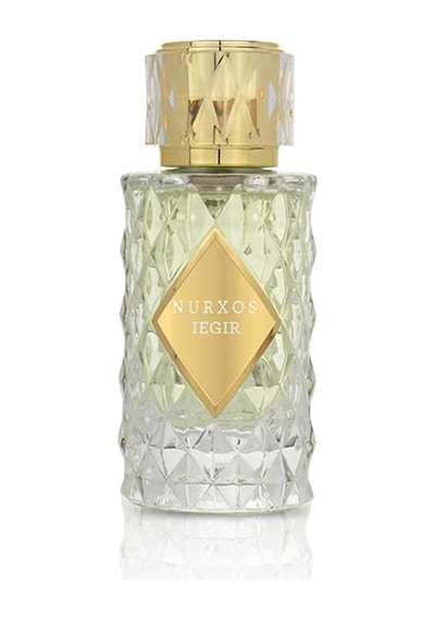 Nurxos 9765 Iegir EDP Kadın Parfümü 8681124697653 65 ML