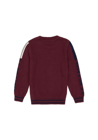 U.s. Polo Assn. Erkek Çocuk Plum Kazak /triko 50317136-vr177 New Plum