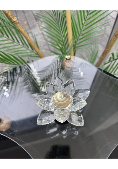 Elara Dekoratif Ayaklı Lotus Beyaz