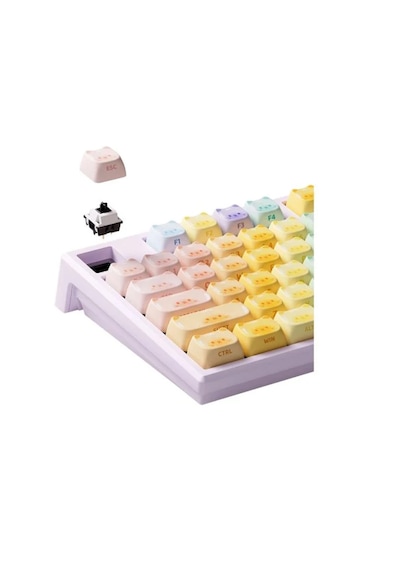 Akko Monsgeek MG108B Colorful Cats RGB Kablosuz Mekanik Oyuncu Klavye