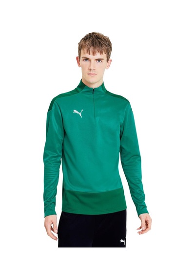 Puma 656476 Teamgoal 23 Training 1 4 Zıp Top Yeşil Yeşil
