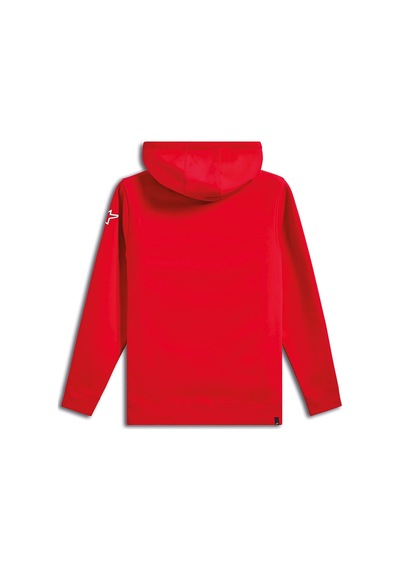 Alpinestars Linear Wordmark V3 Hoodie Kapüşonlu Sweatshirt Kırmızı Beyaz Çok Renkli