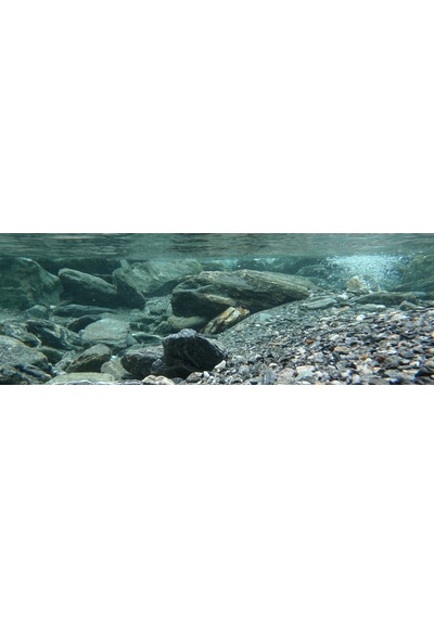 Kanki Pet Kp18565031 Akvaryum Arka Fon Yapıştırma 185 X 65 Cm