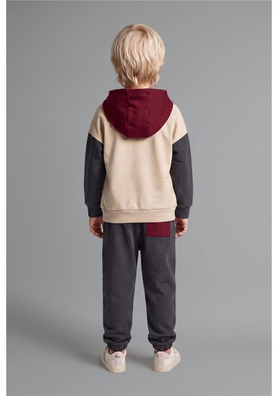 Defacto %100 Pamuk Etiket Baskılı İnce Sweatshirt Kumaşı 2li Takım Erkek Bebek F9452a526wnar202 Antrasit-ar202