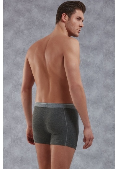 Doreanse Elegant Erkek Boxer 1756