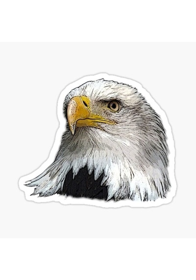 Araba Için Kartal Oto Sticker Yapıştırması Etiket 17Cm Aa4