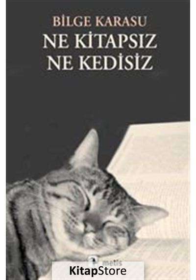 Kitapstore Ne Kitapsız, Ne Kedisiz / Bilge Karasu