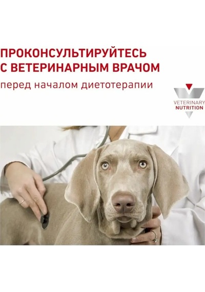 Royal Canin Royal Canin Urinary S/o Pate 410g 138072409