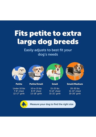 Easy Walk No-pull Köpek Göğüs Tasması, Çekmeyi Önlemeye Yardımcı, Kontrolü Ele Alın Ve Tasmayla Daha İyi Yürümeyi Öğretin, Large, Sarımsı Turkuaz/gri