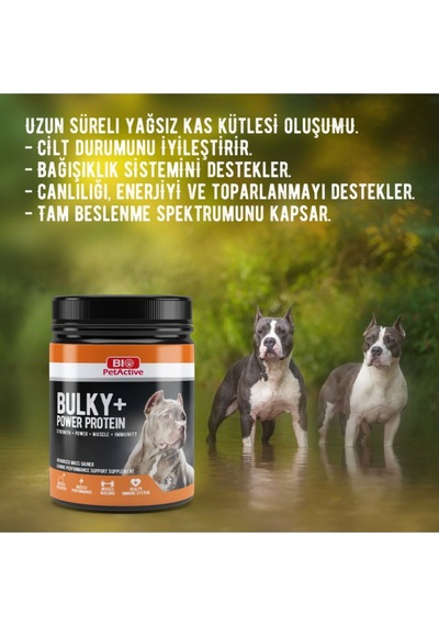 Bio Petactive Bulky Power Köpek Protein Tozu 368 G