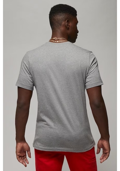 Nike Air Jordan Graphic Ss Crew Grafik Baskılı Erkek Tişört Gri Gri