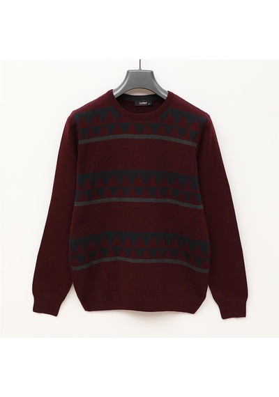 Dio Rise Erkek Uzun Kol İnce Sweatshirt - 189020 - Koyu Bordo Koyu Bordo