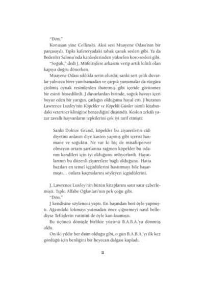 Teftiş: Gizemli Bir Roman Denemesi