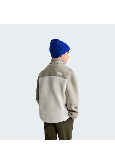 The North Face Teen Yumıorı 1/4 Zıp Jacket Unisex Genç Çocuk Ceket Nf0a8j61p481 Çok Renkli