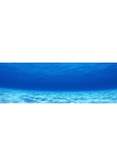 Kanki Pet  Akvaryum Arka Fon Yapıştırma  185x65 cm KP18565003