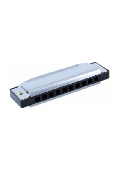 Rizo Hc100 10 Delikli C do Mızıka