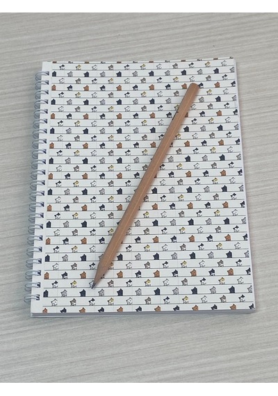 10'lu Okul Defter Seti