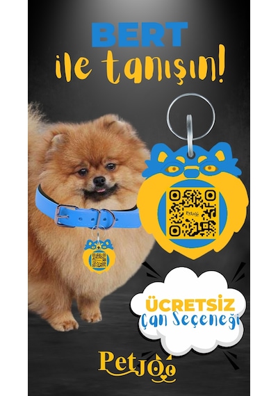 Petjoo 13.Bert Sarı-Mavi Qr'lı Köpek Künyesi