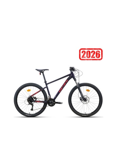 Carraro Crx 724 Dağ Bisikleti Gül Gri-koyu Gri 24v S/36cm Siyah