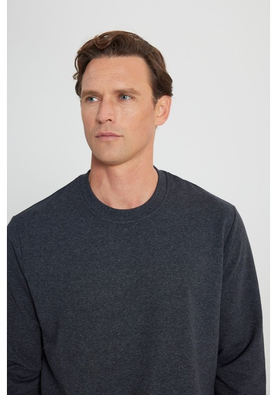 AC&Co / Altınyıldız Classics Erkek Antrasıt Melanj Standart Fit Normal Kesim 2 İplik Recycle Pamuklu Bisiklet Yaka Sweatshirt Antrasit Melanj AC&Co / Altınyıldız Classics Erkek Antrasıt Melanj Standart Fit Normal Kesim 2 İplik Recycle Pamuklu Bisiklet Yaka Sweatshirt Antrasit Melanj