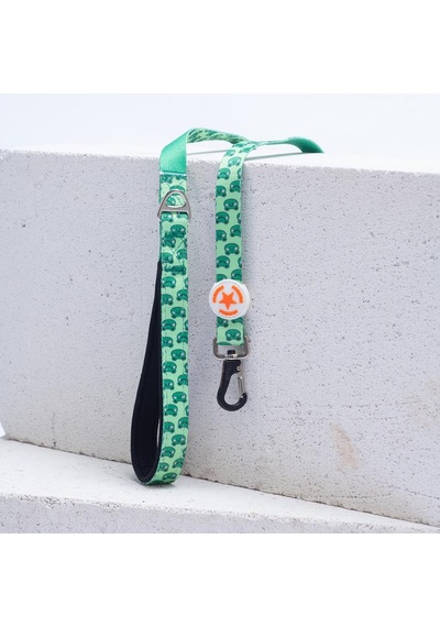 Frog Leash Kurbağa Desenli Kedi Köpek Sevk & Gezdirme Kayışı Köpek Uzatma Tasması-1,5cm Yeşil