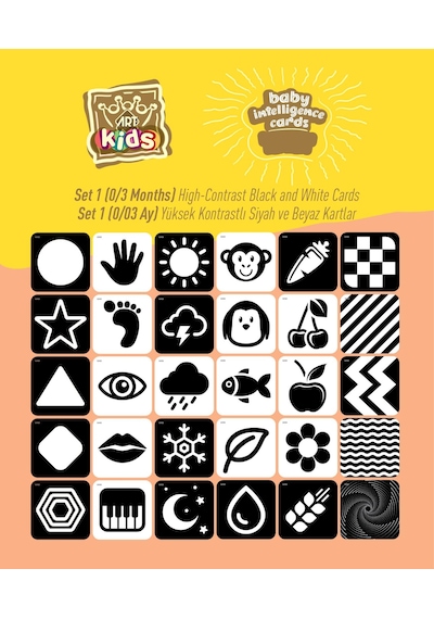 Art Kids Baby Zeka Kartları