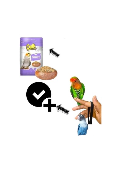 Cennet Papagan Yemi Tasma Hediyeli