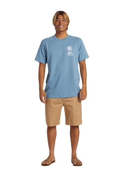 Quiksilver Aqyzt09562 Tropical Breeze Mor Erkek Tişört 001